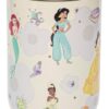 Zak Designs Disney Princess Siply 20oz Leak-Proof Straw Insulated Tumbler