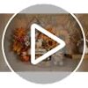 Small fall wreath styled as a festive indoor wall hanging for seasonal home decor