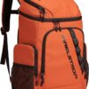 Maelstrom insulated cooler backpack featuring a leakproof 36-can capacity for outdoor adventures.