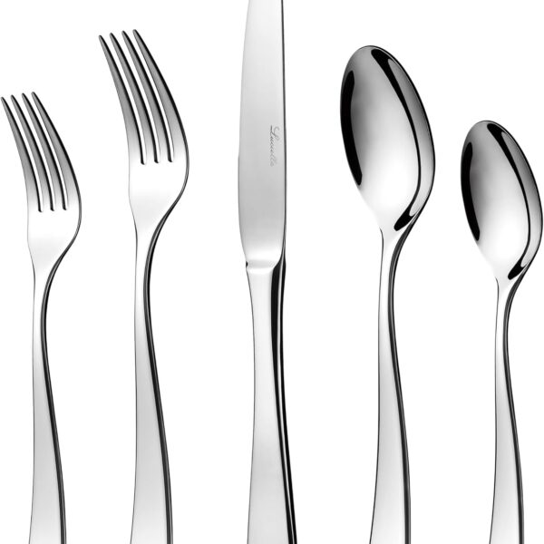 Luciella 45-Piece 18/10 Stainless Steel Silverware Set