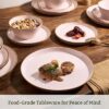 Famiware Saturn Dinnerware Sets, Ceramic Dishes for 4, Rimmed Plates, Bowls