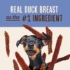 Gourmet duck jerky dog treats formulated with prebiotic fiber for sensitive digestive health.