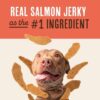 Back of packaging showing Waggin' Train salmon jerky dog treats with zero artificial flavors.