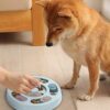 Close up of the DR CATCH educational pet toy designed to reduce boredom and pet anxiety
