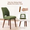 Dining Chairs Set of 4, Upholstered Kitchen Chairs, Green