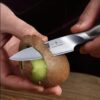 The HOSHANHO Japanese paring knife shown in its elegant retail packaging, perfect for a kitchen gift